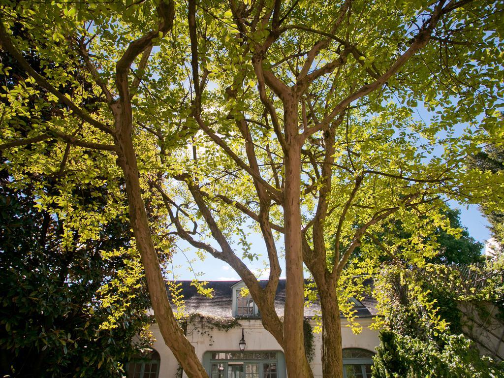 La Maison Jules Тур Екстер'єр фото